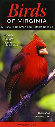 Birds of the Forest: Lansdowne, James Fenwick: 9780884860273